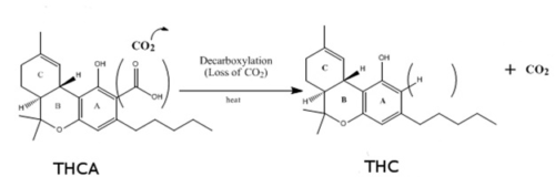 Decarboxylation Image